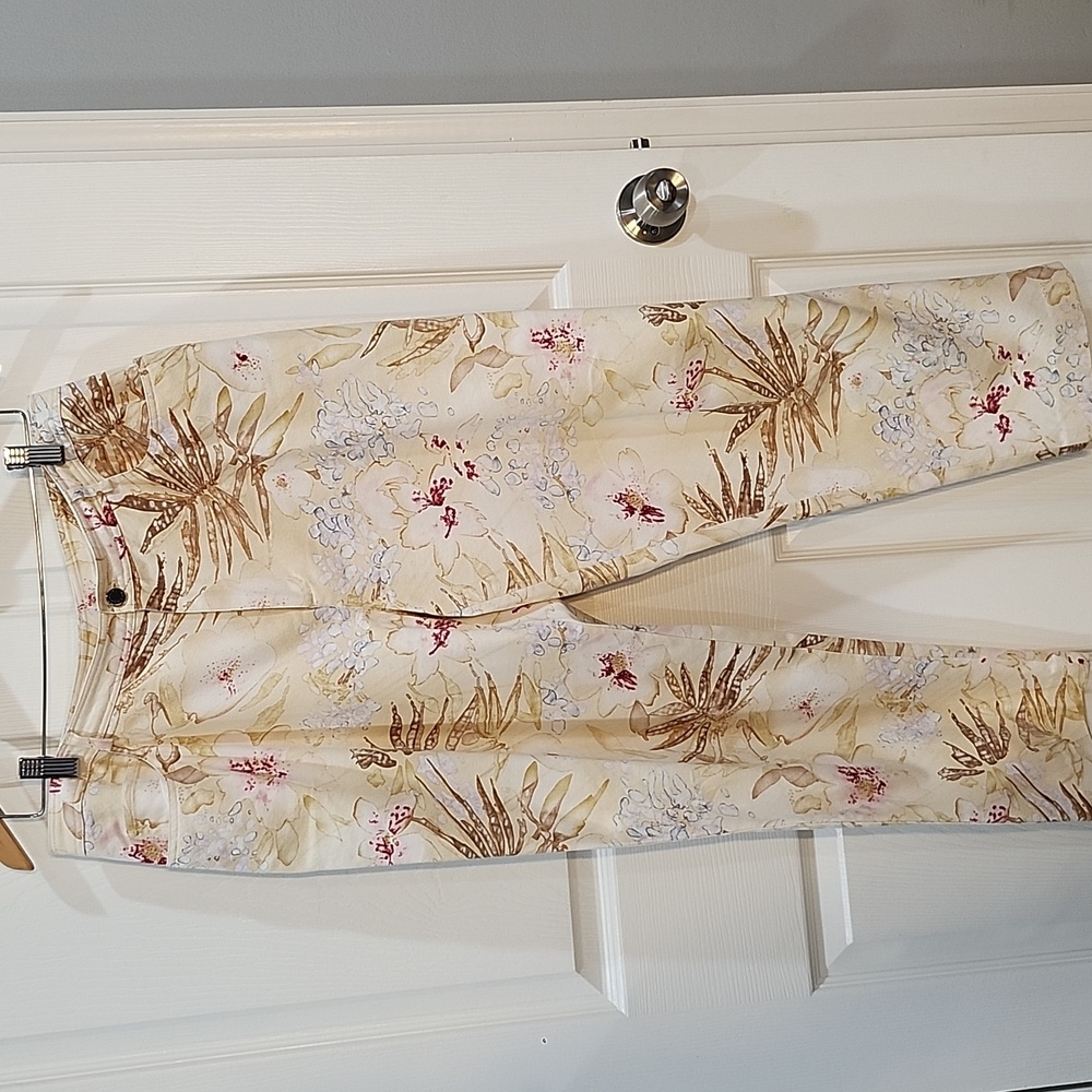 Dana Buchman pants, Size 14p